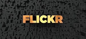 Flickr Schriftzug