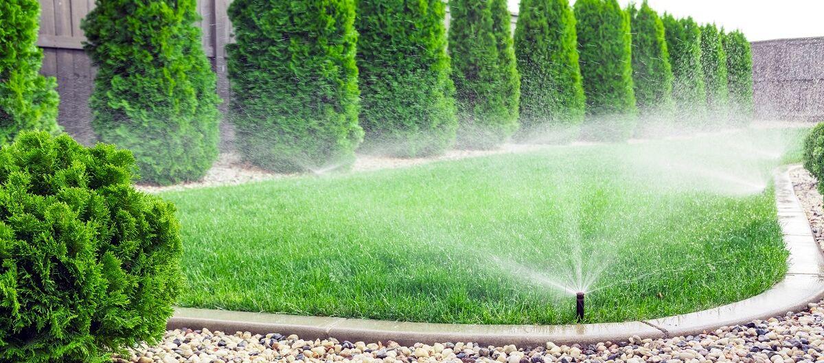 Sprenkler wässert den Garten